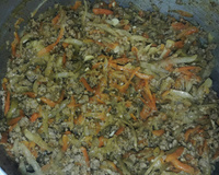 Carne moída com cenoura e batata raladas