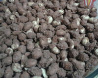 Plarinê (amendoim crocante)