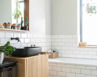 3 plantas para ter no banheiro se você tem alergias ou problemas respiratórios