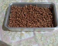 Amendoim Doce Crocante