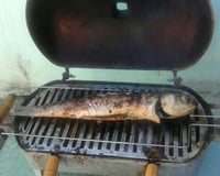 Peixe assado na brasa