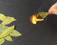 Um truque de ouro que aprendi com a minha avó: queimar folhas de louro em casa toda semana mudou minha vida