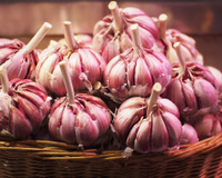 Como escolher cebola e alho: confira as dicas