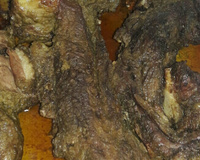 Costela assada no forno