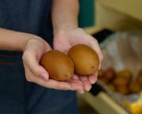 Aurelio Rojas, cardiologista: "Comer dois kiwis verdes uma hora antes de dormir pode reduzir o tempo necessário para adormecer em até 35% e melhorar a qualidade do sono."