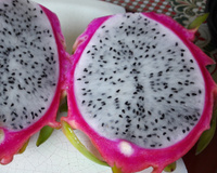 Mousse de pitaya