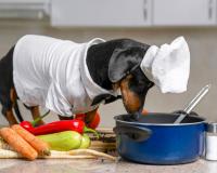 5 itens de animais para decorar sua cozinha