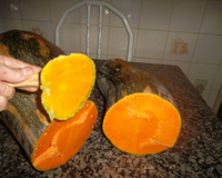 Doce de abóbora com coco ralado