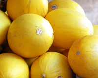 Como escolher melão: veja as dicas para selecionar e conservar a fruta