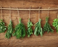 7 ervas que merecem ser incluídas em seu dia a dia