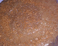 Bolo de chocolate de microondas