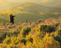 Pertinho de Paraty, essa cidade paulista é um refúgio de charme europeu, natureza e boa gastronomia