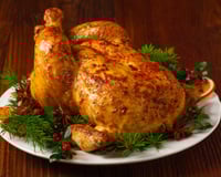 Peru de Natal temperado simples