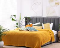 Nem cabeceira, nem quadros: uma portuguesa teve uma excelente ideia para decorar a parede do quarto acima da cama