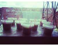 Doce rápido de limão