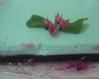 Gelatina Cremosa Bicolor