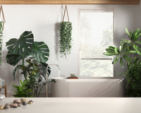 13 plantas que adoram umidade e são perfeitas para decorar o seu banheiro