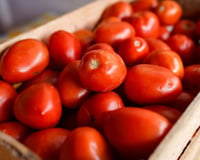 Faz mal comer tomate mole? Veja como saber se o alimento está estragado e quando não precisa jogar fora