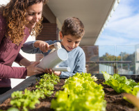 Nem todo dia, nem só uma vez por semana: descubra a frequência ideal de regar a sua horta de vegetais