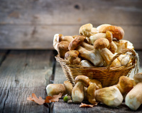 Umami: saiba mais sobre o quinto gosto do paladar