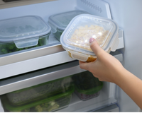 Acabou o Natal, mas a sua geladeira ainda está lotada? Confira o que pode ser congelado e o que não pode