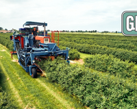 Nem trator, nem mão humana: nova tendência com IA revoluciona a agricultura no Brasil em 2025