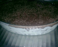 Torta de bolacha cremosa