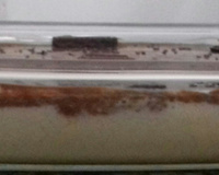 Mousse delicioso de maracujá com chocolate