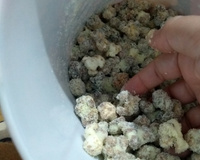 Pipoca gourmet choconinho