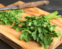 Sem refrigeração ou congelamento – o método que mantém as ervas frescas por mais tempo