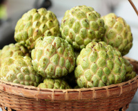 Fruta do conde: conheça benefícios e receitas com essa delícia