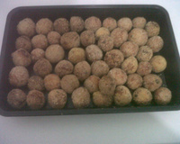 Bolinha de frango crocante