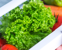 Como salvar a alface murcha com apenas 1 ingrediente GRATUITO que todo mundo tem em casa!