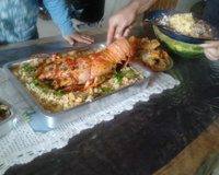 Lagosta com risoto de camarão