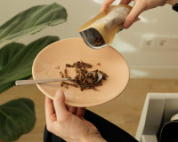 Cansado de comer frango? Esses animais exóticos são uma excelente fonte de proteína e ainda prolongam a saciedade