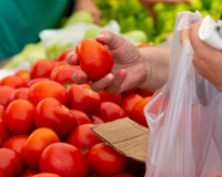 Agora aproveito todas as promoções de tomate: aprendi como armazenar por meses e transformar tudo em molho caseiro