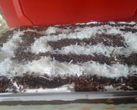 Pavê de chocolate com biscoito de maizena