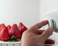 Os especialistas concordam quanto à temperatura do refrigerador: "Deve ser ajustada para 4 graus e o congelador para -18 graus."