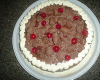 Bolo de chocolate diet