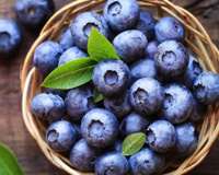 Mirtilo não é tudo igual: a diferença entre as duas variedades mais populares está nos nutrientes!