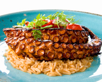 Receitas com polvo: 45 pratos com o fruto do mar