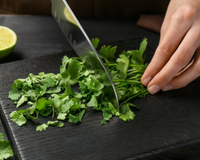 O jeito mais fácil de manter ervas e temperos frescos por mais tempo