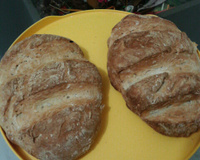 Receita básica de pão