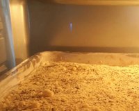 Cachorro quente de forno (delicioso)