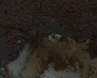 Bolo simples fofinho