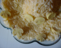 Risoto de champignon
