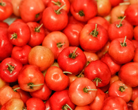 Acerola: conheça os benefícios dessa fruta deliciosa