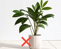 O vaso de planta feito de plástico ficou para trás: essa tendência é mais eficiente, melhora a drenagem e favorece o crescimento