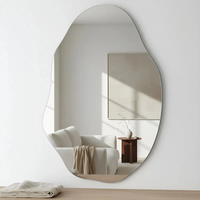 Lopazzi espelho orgânico loja sala lapidado grande banheiro moldura