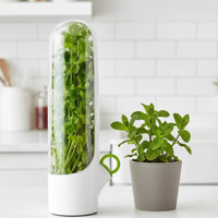 Pote Conservador Ervas E Temperos Frescos Herbário Geladeira